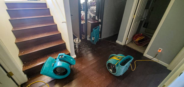 Best Mold removal after water damage  in Davisboro, GA