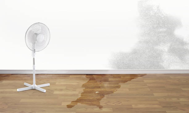Best Commercial water damage restoration  in Davisboro, GA