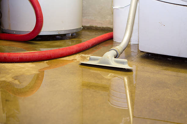 Best Basement water damage restoration  in Davisboro, GA